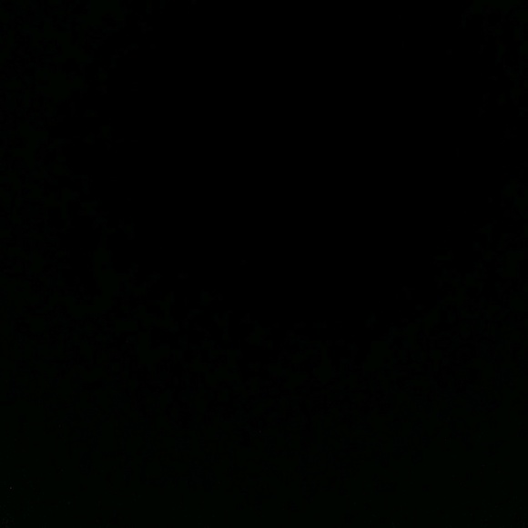 Meet your Posher, Deajanae - Picture 1 of 1